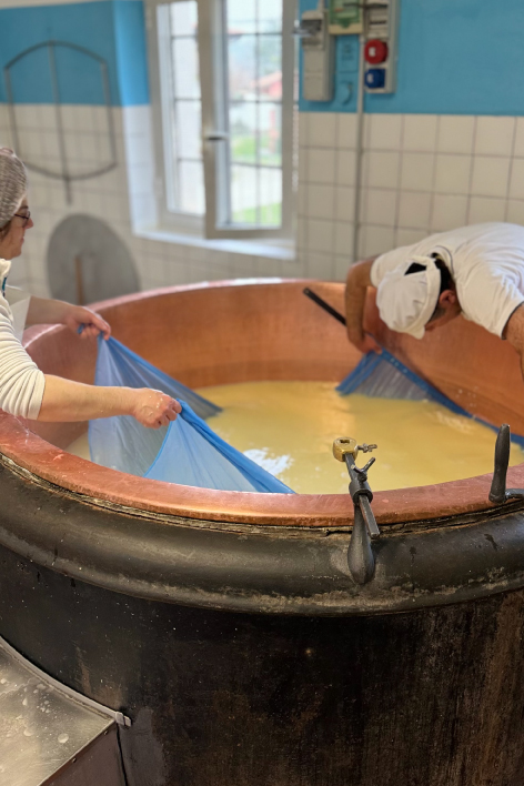 Contenitore del latte