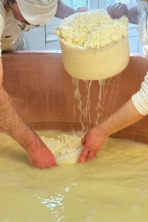 Yosemite National Park